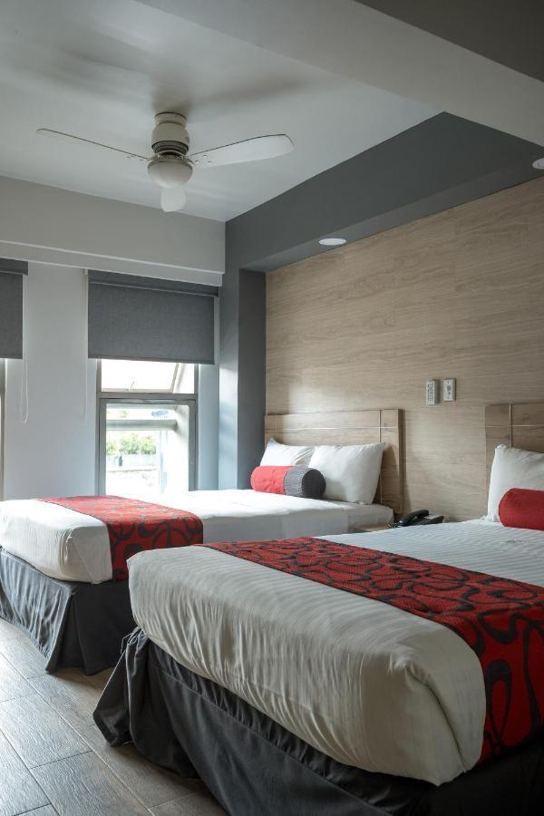 Hotel Roble Mexico By Eksteriør billede