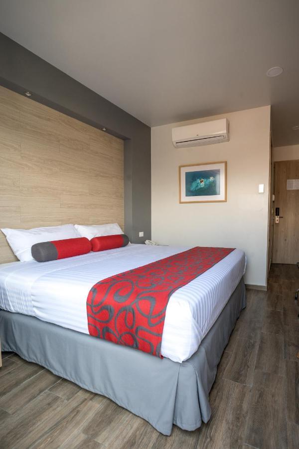 Hotel Roble Mexico By Eksteriør billede